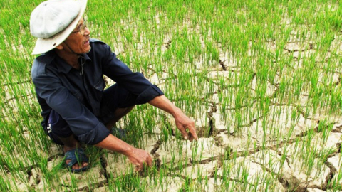 Giải pháp ứng phó thiên tai của Thủ tướng đối với ĐBSCL và Tây Bắc