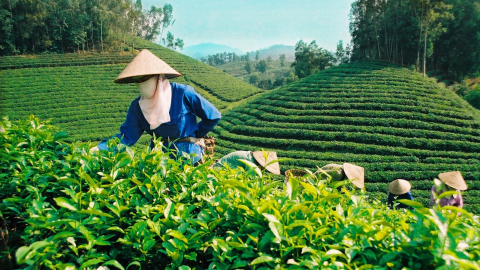Đẩy mạnh cổ phần hóa nhiều doanh nghiệp nhà nước lĩnh vực nông nghiệp