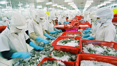 Doanh nghiệp kêu mất thêm tiền tỷ nếu giảm giờ làm việc chính thức