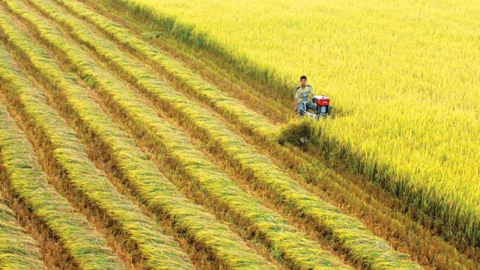 Bộ trưởng Giao thông giải đáp 'điểm nghẽn' trong phát triển của ĐBSCL