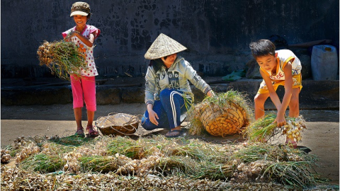Quê hương và ký ức di truyền