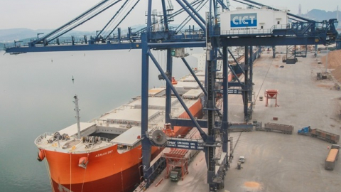 T&T Group nhập nông sản Mỹ trị giá 115 triệu USD giữa dịch Covid-19