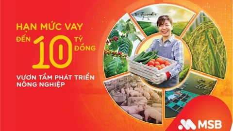 MSB cung cấp nguồn vốn ưu đãi phát triển nông nghiệp