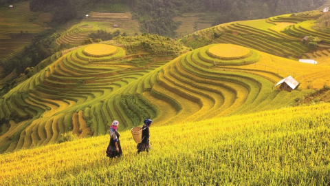 Đất