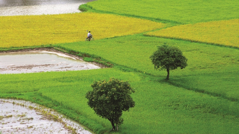 Nghĩ về đất