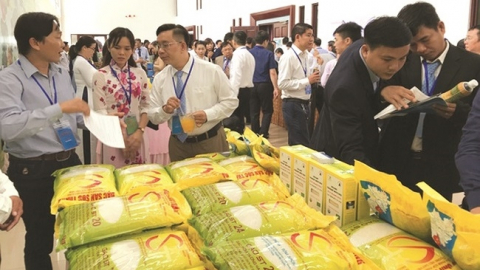 Doanh nghiệp xuất khẩu gạo đề nghị có chính sách ưu đãi để vay vốn dài hạn
