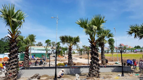 Công bố 142 biệt thự vườn Central Garden liền kề TP. HCM