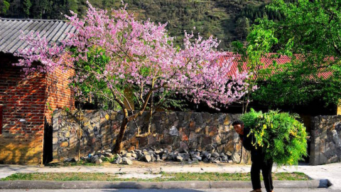 Phát triển Cao nguyên đá Đồng Văn thành khu du lịch đặc biệt