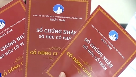 Thủ đoạn lừa tiền 20.000 nhà đầu tư của Nhật Nam