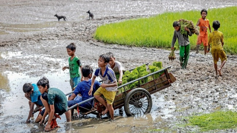Nhân loại ‘đi lùi’ trong công tác bảo vệ trẻ em