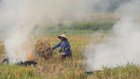 Biến rơm rạ thành đầu vào cho nông nghiệp tuần hoàn