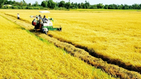 Bỏ tư duy ''vựa lúa'', miền Tây thuận thiên để phát triển bền vững