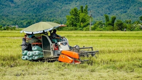 Đầu tư nông nghiệp bền vững là một cách thực hiện sứ mệnh của doanh nhân