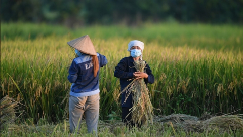Hợp tác xã chuyển mình tích cực