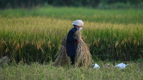 Hướng đi cho nền nông nghiệp ‘thuận thiên’