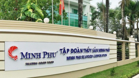 Nguy cơ vua tôm Minh Phú bị áp thuế chống bán phán giá