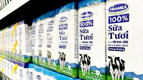 Ngành sữa phục hồi theo 'mô hình chữ K'