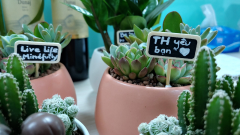 Hạnh phúc nơi công sở tại một trong những nơi làm việc tốt nhất Việt Nam