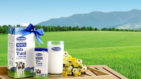 Vinamilk tiếp tục M&A để tăng doanh thu và thị phần