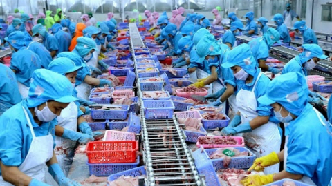 Ngành thủy sản gãy đà phục hồi vì làn sóng Covid-19 mới