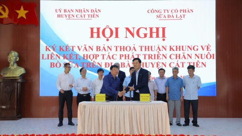 Bò sữa TH giúp phát triển sinh kế người dân huyện nghèo của tỉnh Lâm Đồng