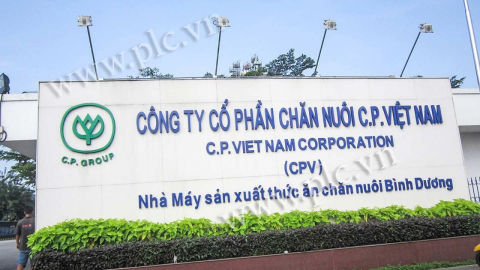 C.P Việt Nam muốn niêm yết trên HOSE