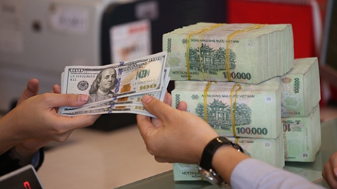 Tiền đồng có thể mất giá 2 - 2,5% trong năm 2022