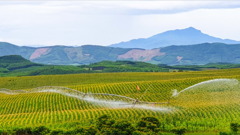 TH True Milk được tôn vinh giải thưởng 'Hành động vì cộng đồng'