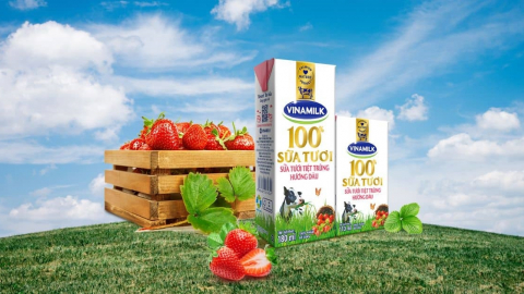 Vinamilk ít lạc quan về khả năng phục hồi của ngành sữa