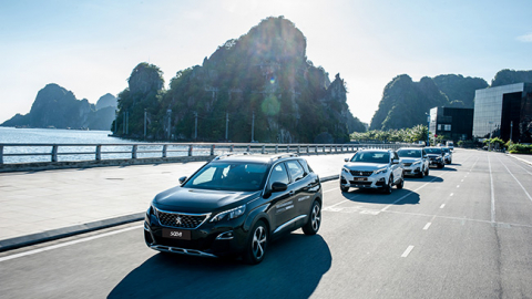 Peugeot trỗi dậy trong phân khúc SUV/CUV châu Âu tại Việt Nam