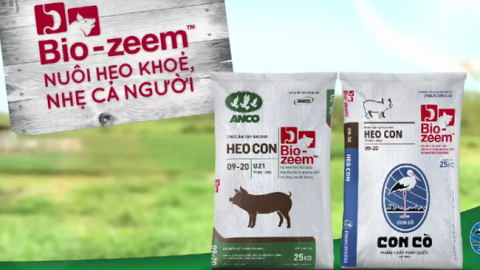 Doanh thu tập đoàn Masan giảm do giá heo phục hồi chậm