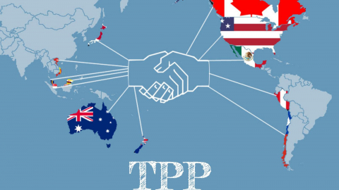 Cơ hội thông qua TPP tại APEC Việt Nam là 50/50