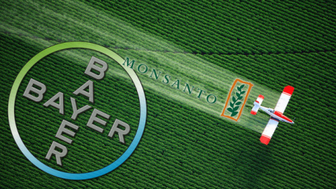 Bayer thâu tóm Monsanto, ngành nông nghiệp toàn cầu sẽ ra sao?