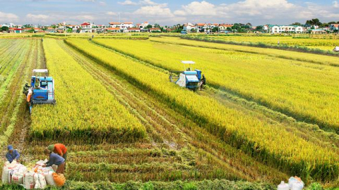 Thu nhập bình quân năm 2020 ở nông thôn sẽ tăng lên 44 triệu đồng