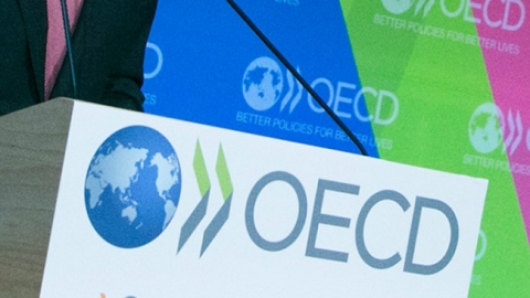 5 nguyên tắc chuẩn OECD để xóa bỏ giấy phép con