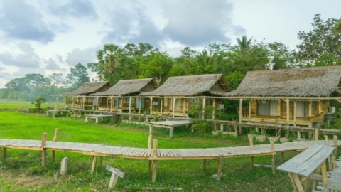 Đưa kinh doanh farmstay vào khuôn khổ