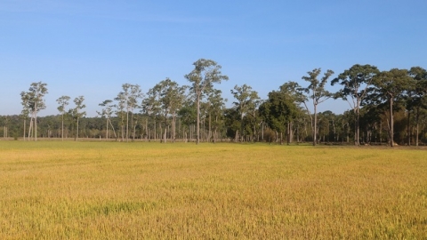 Trở lại Cát Tiên