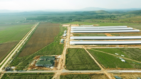 Tổ hợp trang trại Vinamilk tại Lào dự kiến hoạt động đầu năm 2022