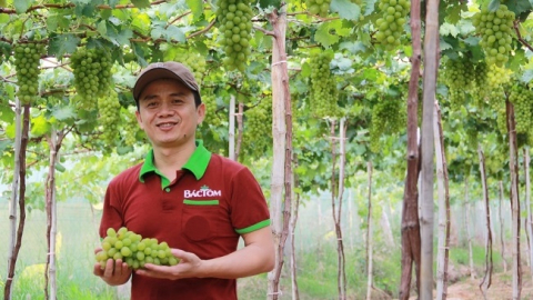 Ông chủ thực phẩm sạch Bác Tôm và mối nhân duyên với nghề nông