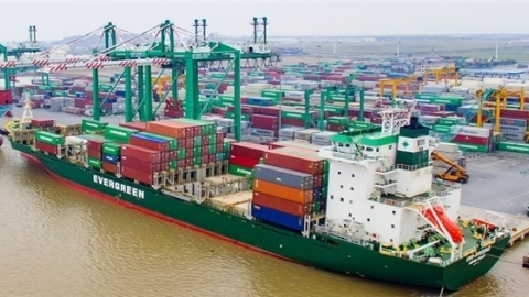Lợi nhuận Viconship 'bốc hơi' trăm tỷ vì 'nhập sai số liệu'