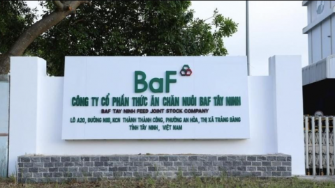 BAF báo lãi kỷ lục nhờ giá heo hơi tăng vọt