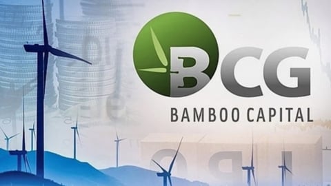 Bamboo Capital lý giải việc chậm nộp báo cáo tài chính quý I/2025