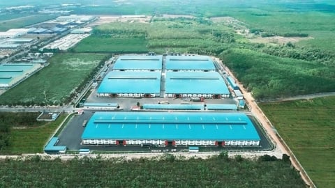 Gỗ An Cường ứng phó thuế quan Mỹ