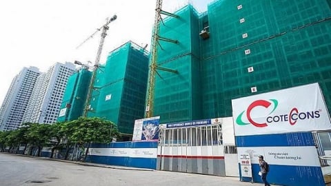 Tòa án giữ nguyên phán quyết, Coteccons phải trả gần 170 tỷ đồng cho Ricons