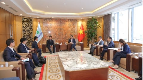 Petrovietnam bắt tay Sumitomo phát triển điện gió ngoài khơi