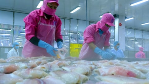 Triển vọng kinh tế Việt Nam vẫn u ám trước thời hạn thuế quan