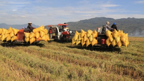 Lộc Trời vật lộn trong khủng hoảng