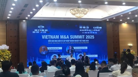 M&A: 'Cuộc chơi đỉnh cao trí tuệ' giúp doanh nghiệp Việt bứt phá 
