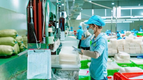 Cách chiếc bánh tráng Tân Nhiên kể câu chuyện phát triển bền vững