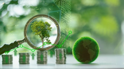 Tín chỉ carbon có giá bao nhiêu?